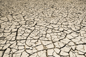 dry and cracked ground as a background