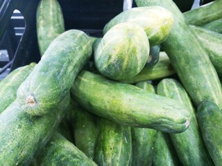 cucumbers in the market