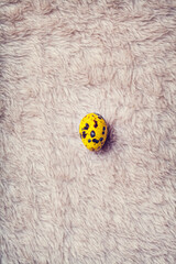 yellow quail egg on fur surface . top view flat lay . Minimal background. Easter concept. copy space