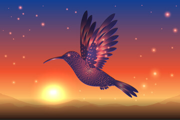 little magical  hummingbird