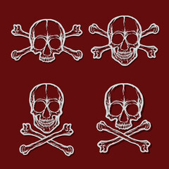 Human skulls vector set on red background