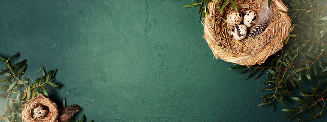 Easter sunny festive organic banner decorated with branches and nest with small easter eggs