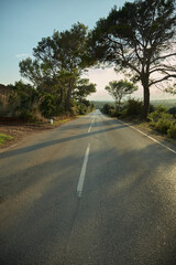 Street in Mallorca. Spain. Sun.