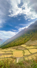 Australia; Nepal; India