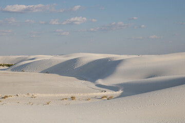 White Sands National Monument
Scenic view of White Sands near the sunset, New Mexico; these are dunes composed of sands of gypsum.