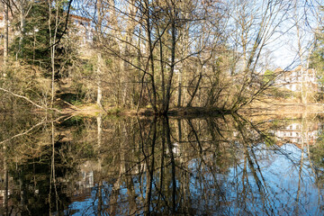 Obraz premium Trees and blue sky reflected in a small lake near Wonnhalde in Freiburg
