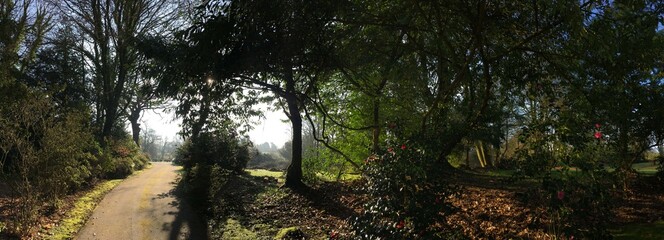 un matin de printemps en campagne sur Briec à Barré-Nevez en Bretagne Cornouailles Finistère France