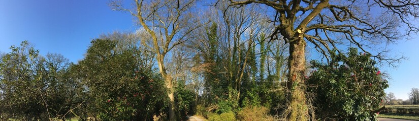 un matin de printemps en campagne sur Briec à Barré-Nevez en Bretagne Cornouailles Finistère France