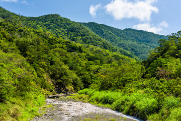 Fototapeta na wymiar Valley of the river with Beautiful forest in the mountains of Taiwan.