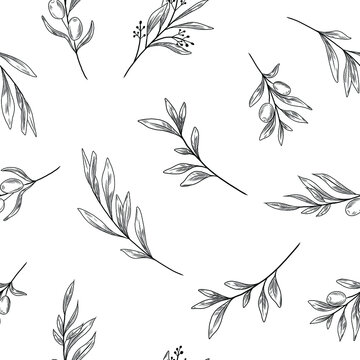 Olive Branches Seamless Pattern, Line Art