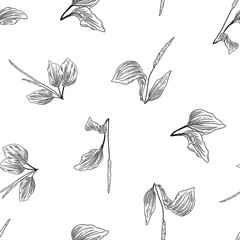 Seamless pattern with medical plant plantago, plantain