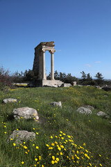 Ancient temple remains with grassland in the Sanctuary of Apollon Hylates in Episkopi, Limassol, Cyprus.