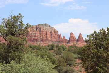 Arizona USA Grand Canyon Forest and Red Mountain National Park