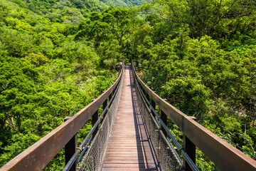 suspension bridge through the green forest in Pingtung, Taiwan.