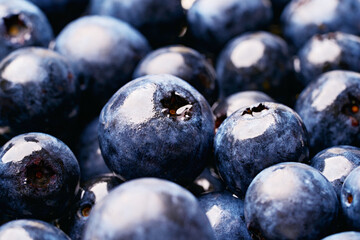 close up fresh blueberry background. blue berry fruit                                                     