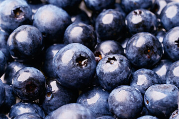 close up fresh blueberry background. blue berry fruit                                                     