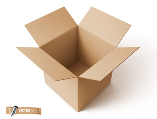 Boîte en carton vectorielle sur fond blanc