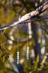 Labradorite stone bead earrings hanging on natural background