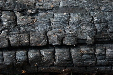 Charred and cracked black texture firewood close up shot isolated