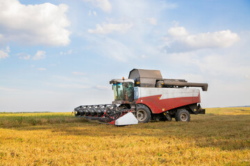 Obraz premium old combine harvester harvests from the field