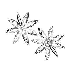 star anise hand drawing icon isolated on white background. Vector