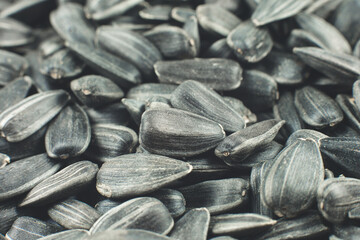 Fried black sunflowers seeds, close up.