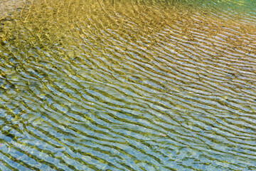 The water ripples on the surface of the pond.