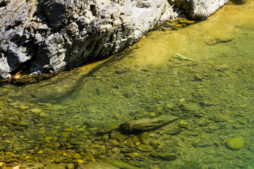 The stones under the pond, close-up as a background.