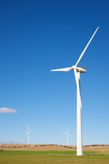 Fototapeta premium Renewable energy concept