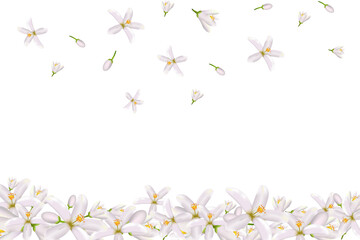 Realistic orange flowering branch,neroli flowers.Labels of Cosmetic Skin Care Product Design . Vector illustration.