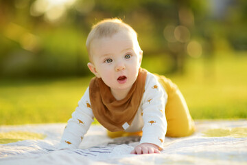 Cute five months old baby boy on his hands and knees on a blanket in a park on sunny summer day. Infant having fun outdoors. Adorable child learning to crawl.