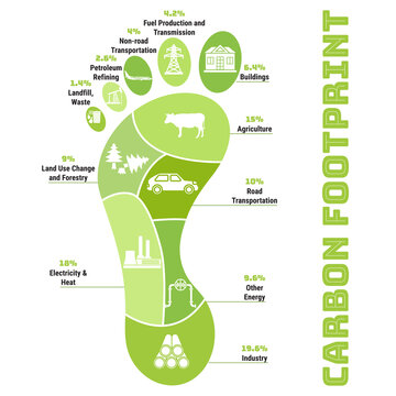 Carbon Footprint Infographic. CO2 Ecological Footprint Scheme. Greenhouse Gas Emission By Sector. Environmental And Climate Change Concept. True Data From Report