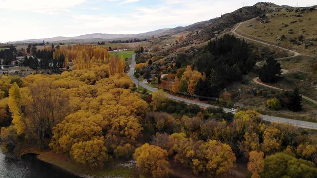 Van driving on New Zealand road during colourful autumn. Aerial