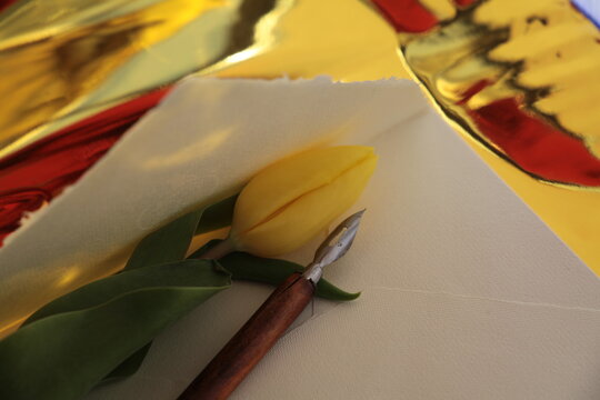 Tulipani di vari colori 