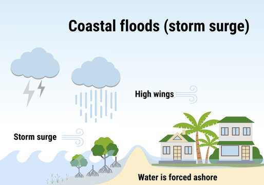 Coastal floods, storm surge. Flooding infographic. Flood natural disaster with rainstorm, weather hazard. Houses, trees covered with water. Global warming and climate change concept.