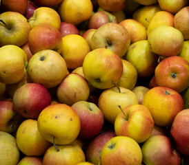 Background from multicolored apples. Top view.