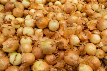 Obraz na płótnie Canvas Background from onions in husks. Lots of onions.