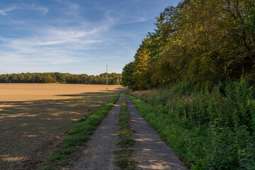 Road in the countryside
