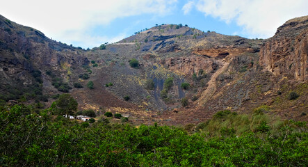Fototapeta na wymiar Landscape of a crater of a volcano in Canary Islands, crater Bandama, Gran Canaria Island, endemic flora typical for basalt lava soil.