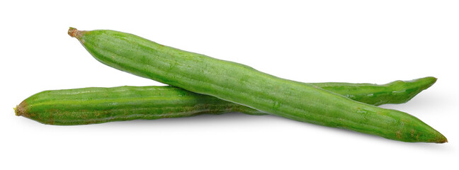 Moringa isolated on white. Moringa clipping path