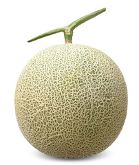 Melon isolated on white. melon clipping path
