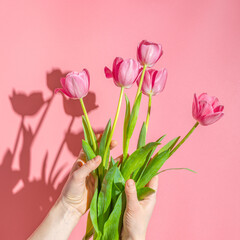 A girl holding pink tulips, a woman's hands with a bouquet gift on a pink background, hard sunlight. Floral spring background.