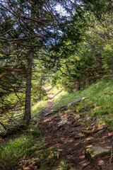 Alpen im Ötztal - Österreich