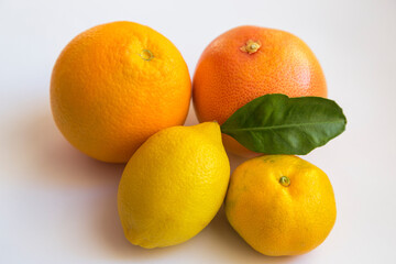 orange, mandarin, grapefruit and lemon on white background