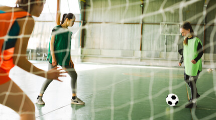 Female players on big professional arena during the game. Inside photo, football training. Young female soccer or football player in sportwear kicking ball for the goal. Healthy lifestyle, hobby.