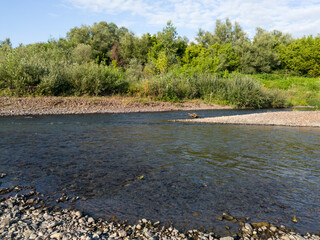 Fast water stream erodes gravel shore, gravel deposit environment on river