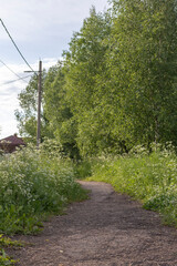 Dirt road leading to a rural house against a background of green grass 