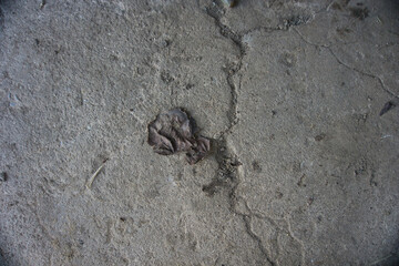 old beton