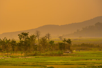 Fototapeta premium Green rice field with mountains background under sunset sky