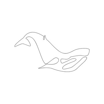 recommend clip art: Whale line continuous outline vector logo
